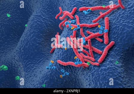 Monoklonale Antikörpertherapie bei Helicobacter pylori - isometrische 3D-Darstellung Stockfoto