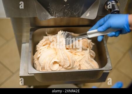 Eine Nahaufnahme einer Person mit blauen Handschuhen, die cremiges, orangenes Eis aus einem Metallbehälter schöpft. Das Eis hat eine glatte Textur und wird in angezeigt Stockfoto