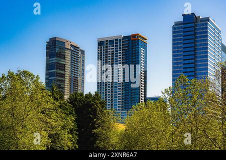 GEBÄUDE IN DER INNENSTADT VON BELLEVUE MIT LAUB IM VORDERGRUND UND KLAREM BLAUEM HIMMEL Stockfoto