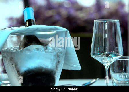 Wein im Eis Stockfoto