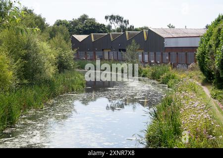 Walsall Canal von Belper Bridge, Greets Green, West Bromwich, Sandwell, West Midlands, England, Großbritannien Stockfoto