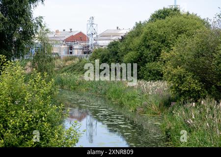 Walsall Canal von Belper Bridge, Greets Green, West Bromwich, Sandwell, West Midlands, England, Großbritannien Stockfoto