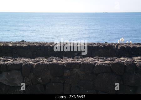 Eine Mauer aus Basalt von Jeju Island, Korea Stockfoto