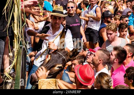 Parodie auf das menorquinische Pferdefest mit Eseln, 'Jaleo d'ASEs', Sant Bartomeu Festival, Ferreries, Menorca, Balearen, Spanien Stockfoto