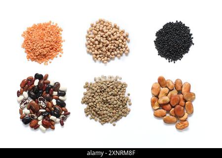 Quellen veganer Proteine: Rote Linsen, Kichererbsen, schwarze Linsen (Beluga), Bohnen, Linsen und breite Bohnen auf weißem Hintergrund Stockfoto