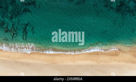 Drohnenblick auf leeren goldenen Strand mit stürzenden Wellen Stockfoto