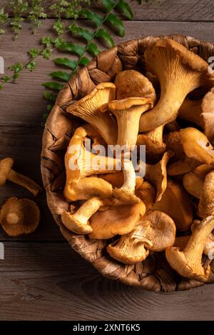 Pfifferling Pilze im Korb nah oben auf hölzernem Hintergrund, Draufsicht. Waldpilze Pfifferlinge bereit zum Kochen. Stockfoto