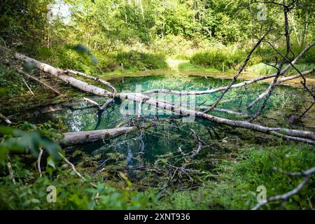 Saula Blue Springs oder Saula Siniallikad, Natur- und Kulturerbe. Es wird angenommen, dass es sich um eine Opferquelle mit blauer Farbe mit heilender Kraft handelt. Saul Stockfoto