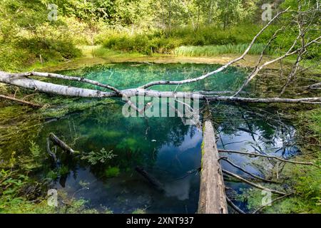 Saula Blue Springs oder Saula Siniallikad, Natur- und Kulturerbe. Es wird angenommen, dass es sich um eine Opferquelle mit blauer Farbe mit heilender Kraft handelt. Saul Stockfoto