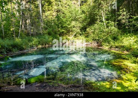 Saula Blue Springs oder Saula Siniallikad, Natur- und Kulturerbe. Es wird angenommen, dass es sich um eine Opferquelle mit blauer Farbe mit heilender Kraft handelt. Saul Stockfoto