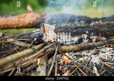 Brot und Speck am Lagerfeuer braten. Spaß am Lagerfeuer haben. Camping im Herbstwald. Stockfoto