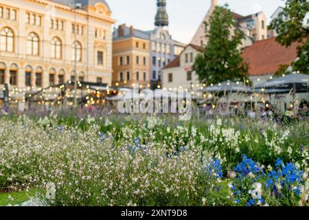 Blumenbeete vor dem Hintergrund der farbenfrohen Kopfsteinpflasterstraße von Riga. Pulsierendes Stadtleben in der Hauptstadt Lettlands. Stockfoto