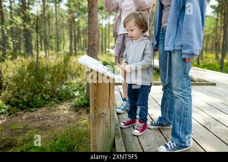 Kinder erkunden Viru Bog, eines der berühmtesten Moore im Lahemaa Nationalpark, Estland. Einzigartiges Feuchtgebiet-Ökosystem unterstützt vielfältige Wildtiere Stockfoto