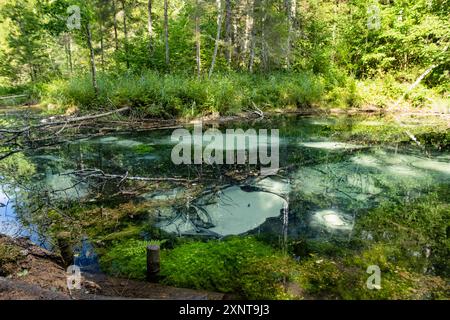 Saula Blue Springs oder Saula Siniallikad, Natur- und Kulturerbe. Es wird angenommen, dass es sich um eine Opferquelle mit blauer Farbe mit heilender Kraft handelt. Saul Stockfoto