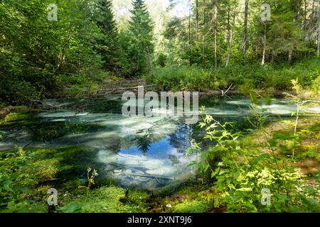 Saula Blue Springs oder Saula Siniallikad, Natur- und Kulturerbe. Es wird angenommen, dass es sich um eine Opferquelle mit blauer Farbe mit heilender Kraft handelt. Saul Stockfoto