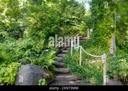 Verschiedene Pflanzen- und Blumenarten im botanischen Garten von Tartu, Estland. Stockfoto