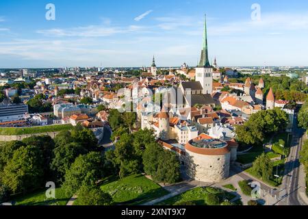 Berühmte Skyline-Aussicht auf die Altstadt von Tallinn an einem sonnigen Sommermorgen. St. Olaf's, St. Michaelis Kirchen, Alexander Newski Kathedrale, Defensive WA Stockfoto