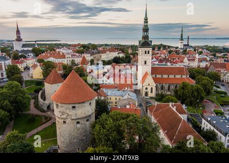 Berühmte Skyline-Aussicht auf die Altstadt von Tallinn an einem sonnigen Sommermorgen. St. Olaf's, St. Michaelis Kirchen, Alexander Newski Kathedrale, Defensive WA Stockfoto