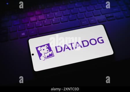Paraguay. August 2024. In dieser Abbildung wird das Datadog-Logo auf einem Smartphone-Bildschirm angezeigt. (Foto von Jaque Silva/SOPA Images/SIPA USA) *** ausschließlich für redaktionelle Nachrichten *** Credit: SIPA USA/Alamy Live News Stockfoto