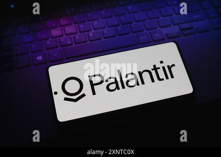 Paraguay. August 2024. In dieser Abbildung wird das Palantir Technologies Logo auf einem Smartphone-Bildschirm angezeigt. (Foto von Jaque Silva/SOPA Images/SIPA USA) *** ausschließlich für redaktionelle Nachrichten *** Credit: SIPA USA/Alamy Live News Stockfoto