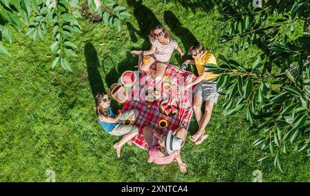 Glückliche Familie mit Kindern beim Picknick im Park, Eltern mit Kindern sitzen auf Gartenrasen und essen gesunde Mahlzeiten im Freien, Drohnenblick aus der Luft Stockfoto