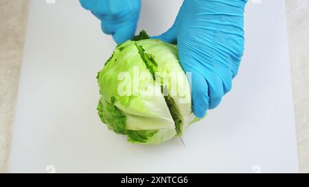 Koch Hände in blauen Handschuhen schneiden frischen Eisbergsalat aus der Nähe auf weißem Küchenbrett. Mit einem großen Eisenmesser gehackt. Kochen, Zubereiten von Zutaten in einem professionellen Restaurant. Ansicht von oben nach unten. 4K-Aufnahmen. Stockfoto