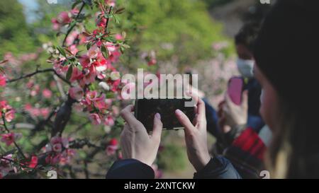 Die Menschen genießen japanische Sakura Blumen im Frühling im Tokyo Park. Touristenfrau macht Fotos von Kirschblüten auf ihrem Handy. Wunderschöne Natur, Reisen, Sehenswürdigkeiten. Rückansicht, Nahaufnahme Stockfoto