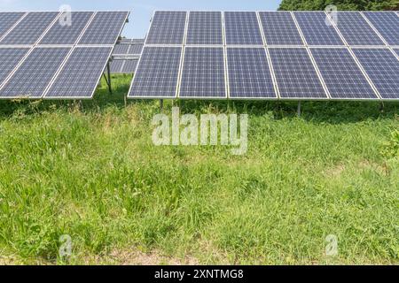 Abschnitte von monokristallinen Solarpaneelen im Rack mit festem Neigungswinkel und Photovoltaik-Solarparks. Eine „saubere“ Energiequelle im Mix aus erneuerbaren Energien. Stockfoto