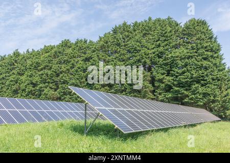 Abschnitte von monokristallinen Solarpaneelen im Rack mit festem Neigungswinkel und Photovoltaik-Solarparks. Eine „saubere“ Energiequelle im Mix aus erneuerbaren Energien. Stockfoto