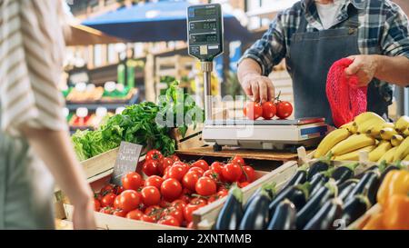 Nahaufnahme eines anonymen Straßenanbieters, der einer Käuferin bei der Auswahl einer Auswahl an reifem Bio-Gemüse hilft. Eine Frau, die auf der Weinrebe Bio Tomaten von einem saisonalen Bauernmarkt kauft Stockfoto