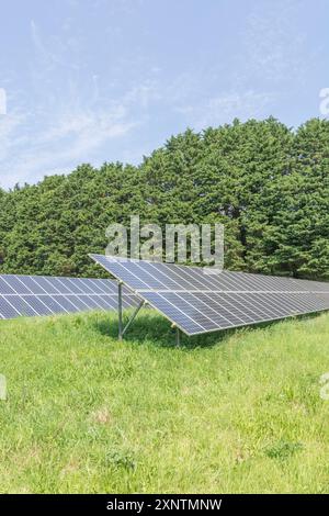 Abschnitte von monokristallinen Solarpaneelen im Rack mit festem Neigungswinkel und Photovoltaik-Solarparks. Eine „saubere“ Energiequelle im Mix aus erneuerbaren Energien. Stockfoto