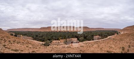 Ultraweites Panorama auf die riesige Tafilalet-Oase in Marokko, Nordafrika. Die größte der Welt. Ziz River und Palmen mitten in der Wüste Stockfoto