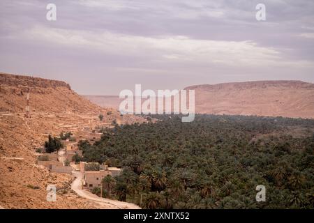 Blick auf die riesige Tafilalet-Oase in Marokko, Nordafrika. Die größte Oase der Welt. Ziz River und Dattelpalmenplantage in der Mitte der Dese Stockfoto