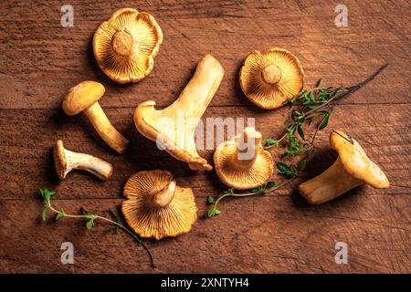 Pfifferlingen auf hölzernem Hintergrund, Blick von oben. Waldpilze Pfifferlingen. Stockfoto