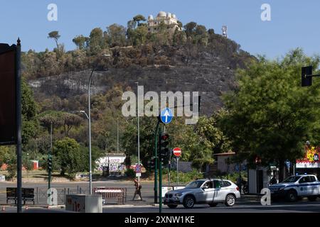 Rom, Italien. August 2024. Ansicht von Monte Mario nach dem Brand, der am vergangenen Mittwoch in Rom ausbrach (Foto: Matteo Nardone/Pacific Press) Credit: Pacific Press Media Production Corp./Alamy Live News Stockfoto