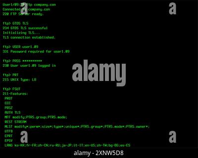 Retro File Manager Login Sequence Template für einen 90s Computer Display, Monitor. File Transfer Protocol Interface, das für Internet Storage verwendet wird. Modell für Bildschirmaustausch bei einem alten Betriebssystem Stockfoto