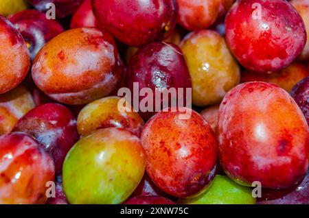 Nahaufnahme von frisch gewaschenen Bio-Pflaumen, die zur Herstellung von Marmelade bereit sind Stockfoto