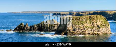 Die Seestapel von Hen's Head und Little Clett bei Brough auf der Ostseite von Dunnet Head, Caithness, Schottland, Großbritannien. Stockfoto