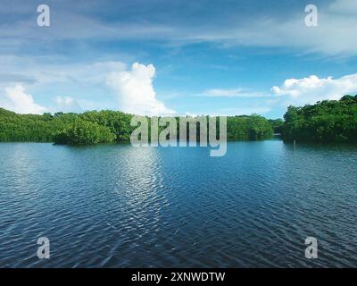 Mangroven im Kanal auf der Insel Yap in Mikronesien. Mangroven, die diese enge Passage zum nächsten Tauchplatz säumen. Natürliche Küstenverteidigung. Stockfoto