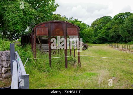 Altes rostiges Schuppen auf einer üppig grünen Wiese mit einem einsamen Pferd, das im Hintergrund unter einem bewölkten Himmel weidet. Stockfoto