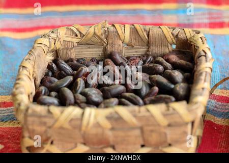 565 Punnet auf einem Tisch in einem Bauernhof auf der Route Ruta del Cacao, der fermentierte, trockene, geröstete Kakaobohnen beherbergt. Baracoa-Kuba. Stockfoto