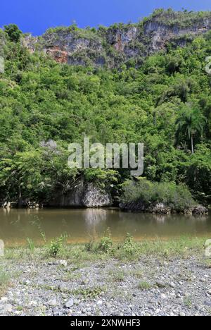 577 Nordwand des Rio Yumuri River Canyon mit Blick auf den Wasserlauf in der Isla Almendras-Almond Island Gegend neben der Mündung. Baracoa-Kuba. Stockfoto