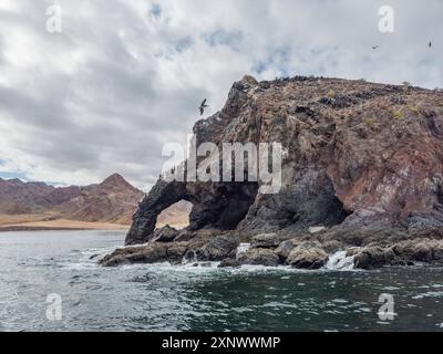 Naturbogen in Puerto Refugio am nördlichen Ende der Insel Angel de la Guarda, Baja California, Meer von Cortez, Mexiko, Nordamerika Copyright: Mich Stockfoto