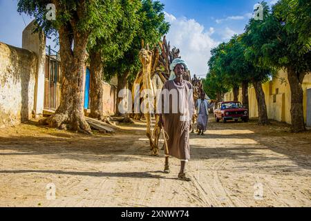 Kamelkarawane mit Brennholz durch Keren, Eritrea, Afrika Copyright: MichaelxRunkel 1184-11984 nur redaktionelle Verwendung Stockfoto