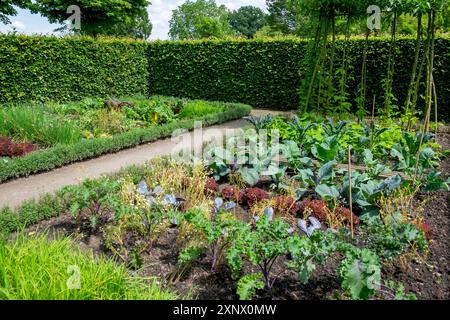 Garten mit einem Weg gesäumt von üppigem Grün, verschiedenen Gemüsepflanzen wie Grünkohl und Salat in gepflegten Beeten, umgeben von gepflegten Hecken Stockfoto