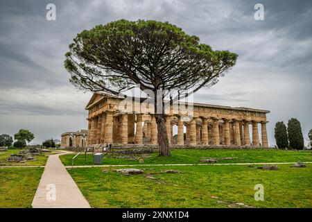 Die griechischen Tempel von Paestum, UNESCO-Weltkulturerbe, Kampanien, Italien, Europa Stockfoto