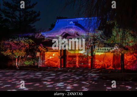 Nächtliche Beleuchtung in Tempeln während der Kirschblüte (Sakura) und Festivals in Kyoto, Honshu, Japan, Asien Stockfoto