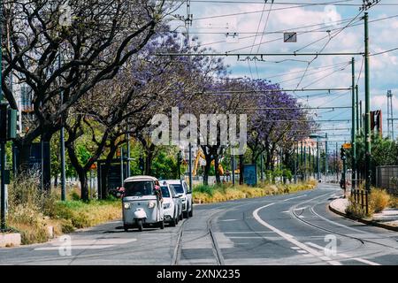 Ein weißes Tuktuk, das entlang eines sonnendurchfluteten Boulevards in Lissabon fährt, gesäumt von blühenden lila Jacaranda-Bäumen, mit Straßenbahnschienen auf der Straße, Lissabon, Portugal Stockfoto