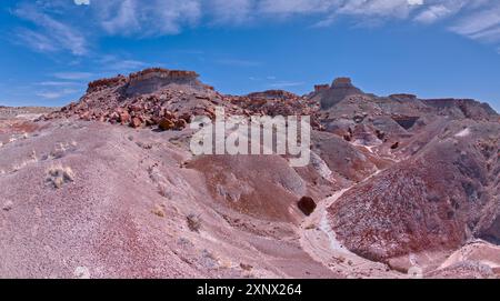 Zerbröckelnde Felseninseln nahe Hamilili Point im Petrified Forest, Arizona, USA, Nordamerika Stockfoto