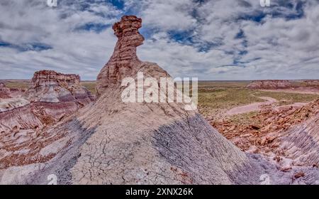 Ein Hoodoo-Turm in Form eines Horse Head im Tal unterhalb der Blue Mesa des Petrified Forest National Park, Arizona, USA Stockfoto